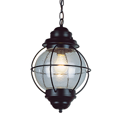 Trans Globe Lighting 69903 RBZ 1 Light Hanging Lantern in Rustic Bronze